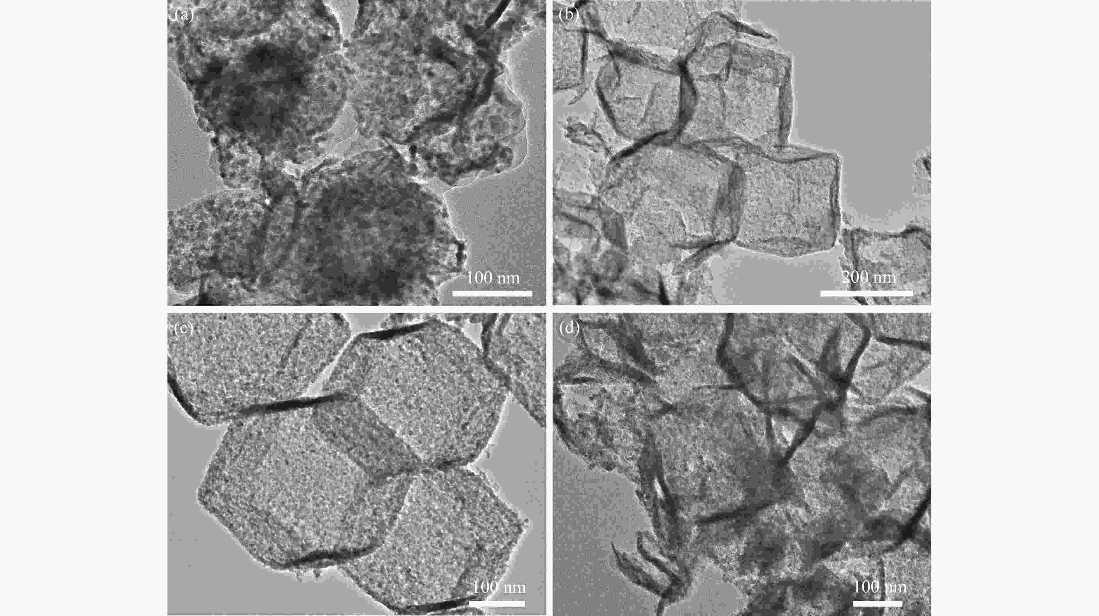 Fe Doped Co O Anchored On Hollow Carbon Nanocages For Efficient Electrocatalytic Oxygen