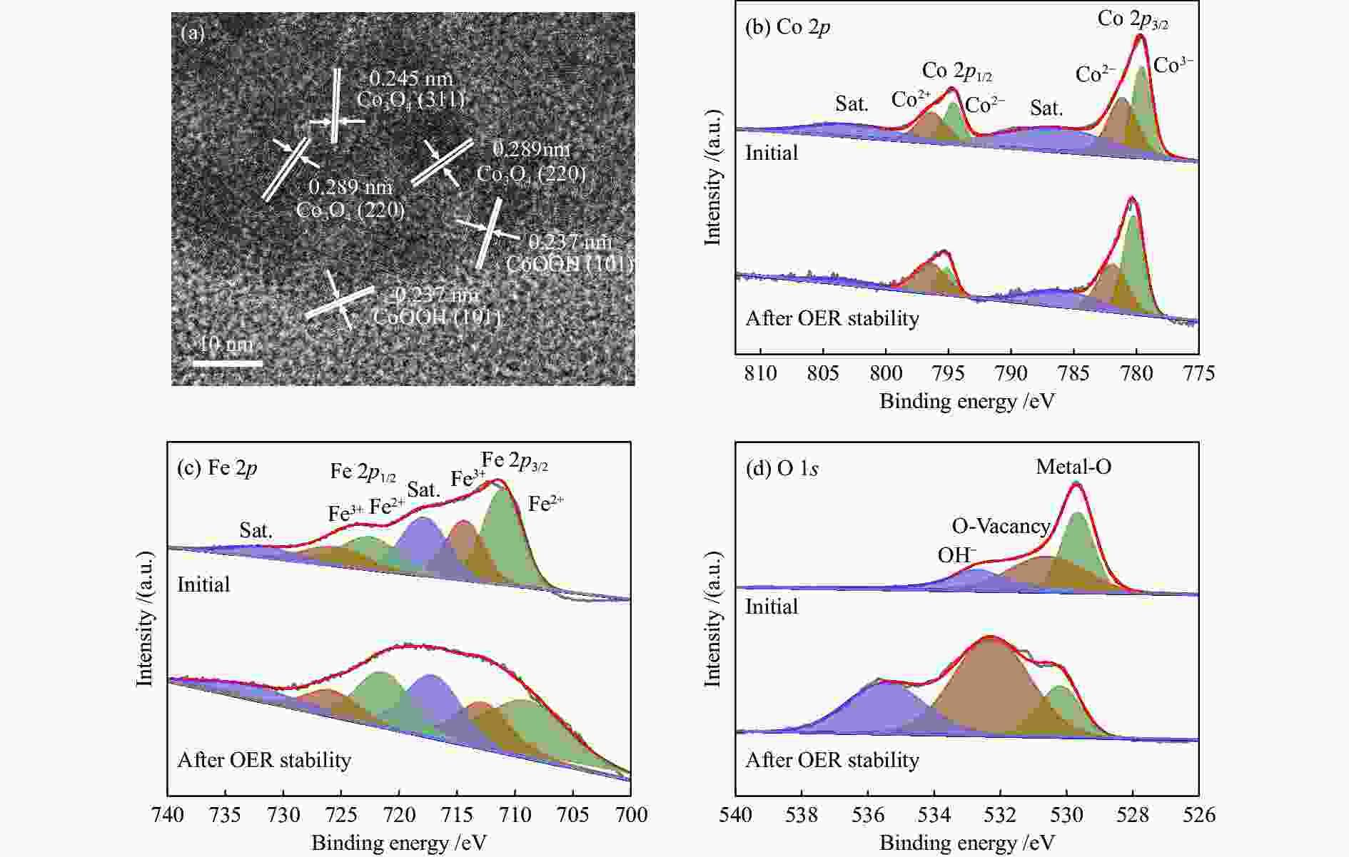 Fe-doped Co 3 O 4 Anchored On Hollow Carbon Nanocages For Efficient ...